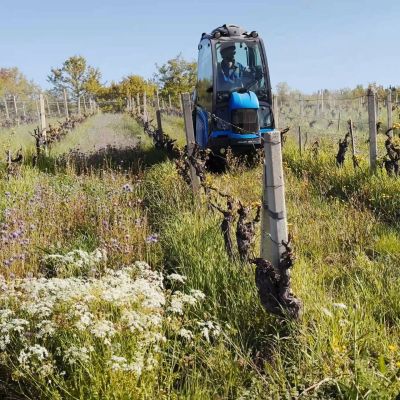 Coltivare la vite rispettando la natura: i trattamenti primaverili di Castello dei Rampolla